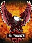 pic for harley davidson motor